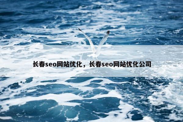 长春seo网站优化，长春seo网站优化公司