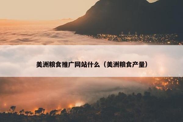 美洲粮食推广网站什么（美洲粮食产量）