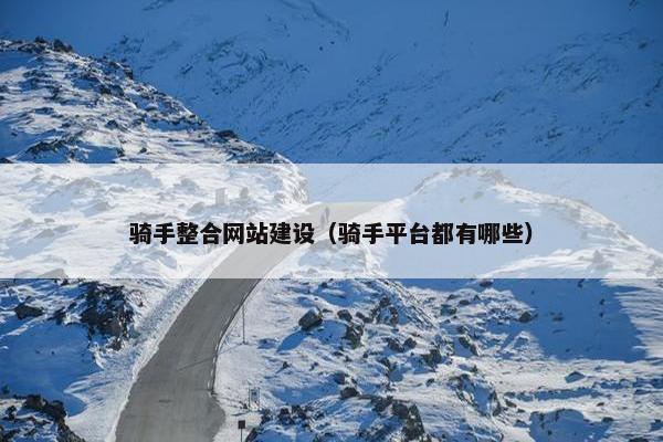 骑手整合网站建设（骑手平台都有哪些）