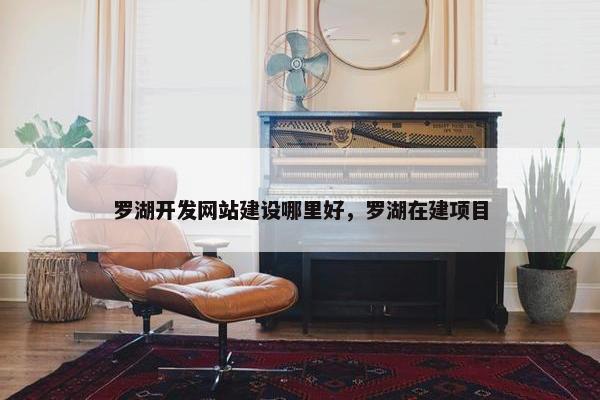 罗湖开发网站建设哪里好，罗湖在建项目