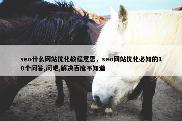 seo什么网站优化教程意思，seo网站优化必知的10个问答,问吧,解决百度不知道