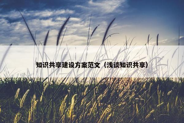 知识共享建设方案范文（浅谈知识共享）