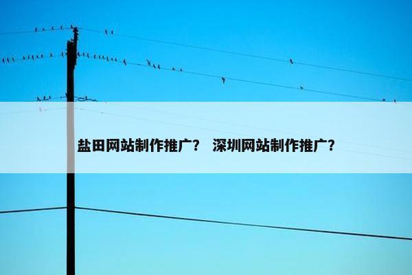 盐田网站制作推广？ 深圳网站制作推广？