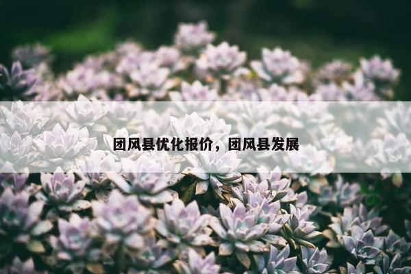 团风县优化报价，团风县发展