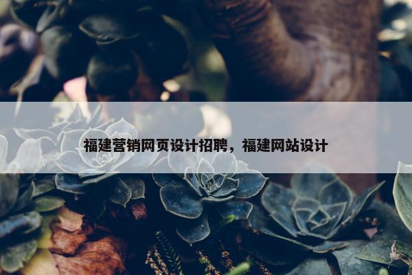 福建营销网页设计招聘，福建网站设计