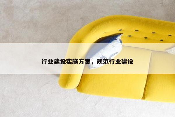 行业建设实施方案，规范行业建设
