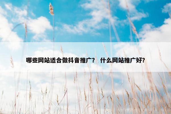 哪些网站适合做抖音推广？ 什么网站推广好？