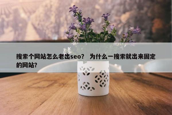 搜索个网站怎么老出seo？ 为什么一搜索就出来固定的网站？