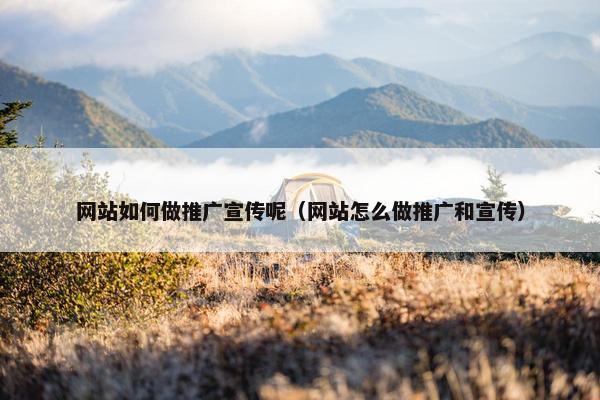 网站如何做推广宣传呢（网站怎么做推广和宣传）