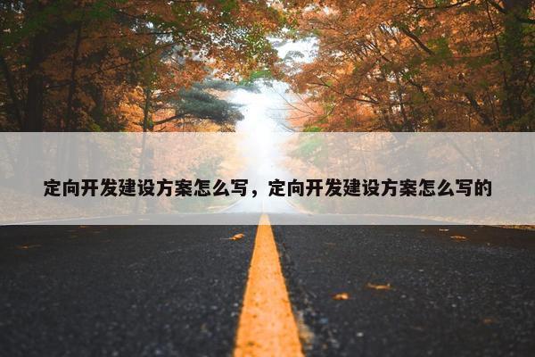 定向开发建设方案怎么写，定向开发建设方案怎么写的
