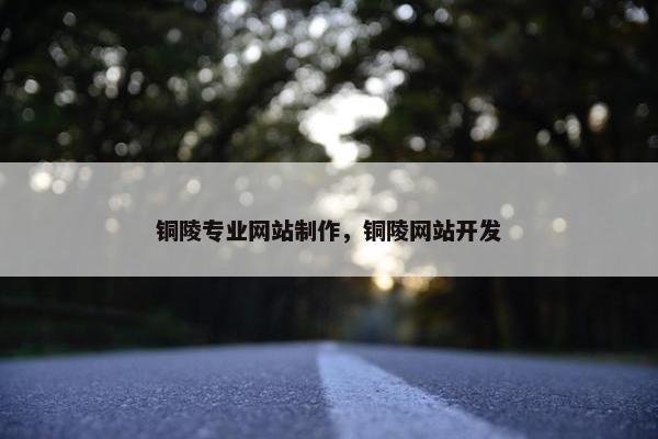 铜陵专业网站制作，铜陵网站开发