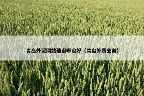 青岛外贸网站建设哪家好（青岛外贸业务）