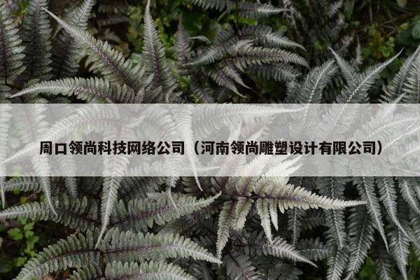 周口领尚科技网络公司（河南领尚雕塑设计有限公司）