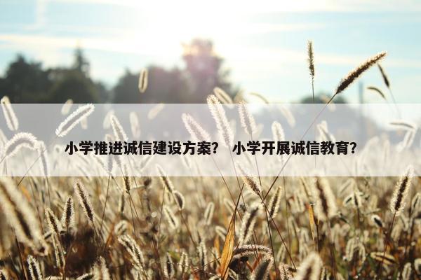 小学推进诚信建设方案？ 小学开展诚信教育？