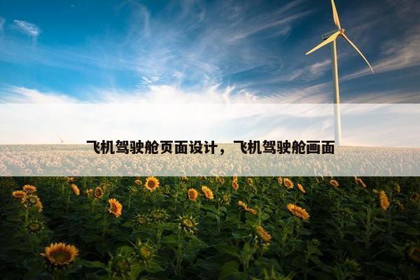 飞机驾驶舱页面设计，飞机驾驶舱画面