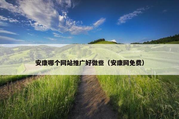 安康哪个网站推广好做些（安康网免费）