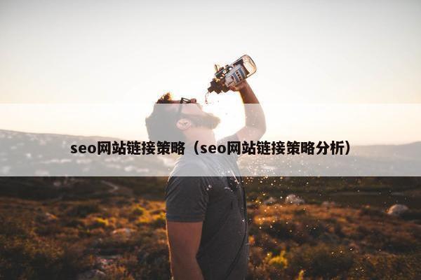 seo网站链接策略（seo网站链接策略分析）