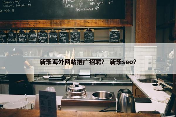 新乐海外网站推广招聘？ 新乐seo？