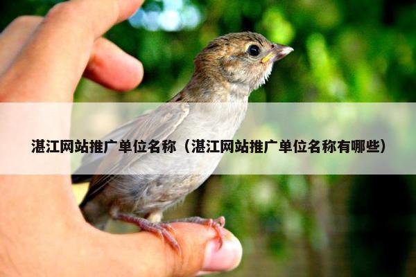 湛江网站推广单位名称（湛江网站推广单位名称有哪些）