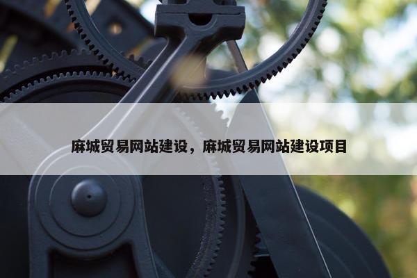 麻城贸易网站建设，麻城贸易网站建设项目