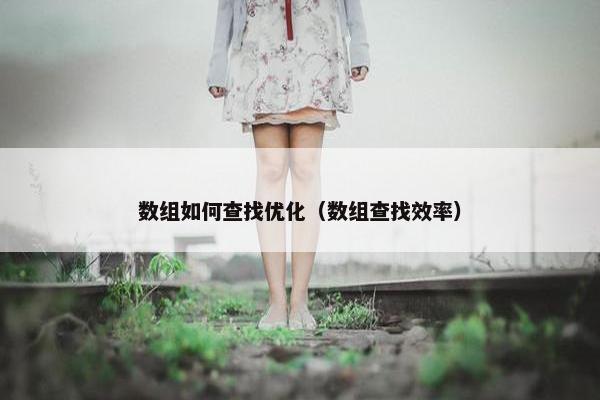 数组如何查找优化（数组查找效率）