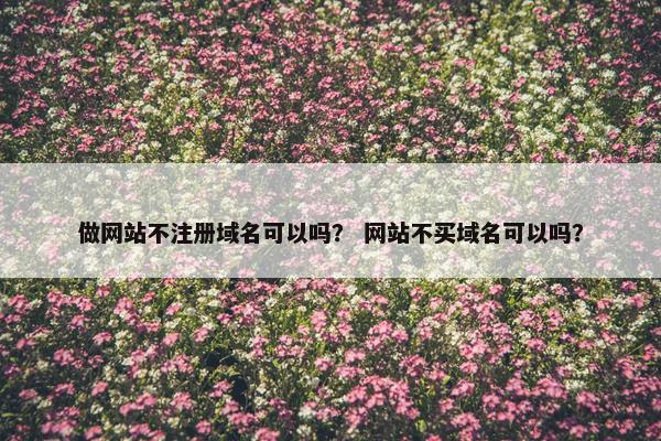 做网站不注册域名可以吗？ 网站不买域名可以吗？