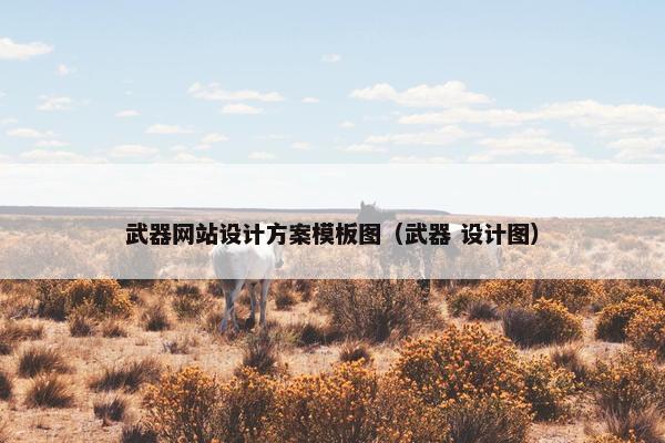 武器网站设计方案模板图（武器 设计图）