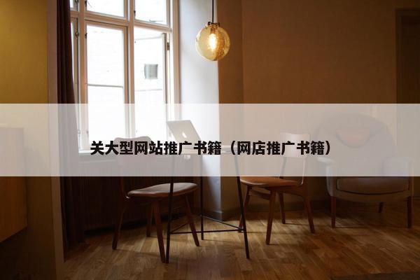 关大型网站推广书籍（网店推广书籍）