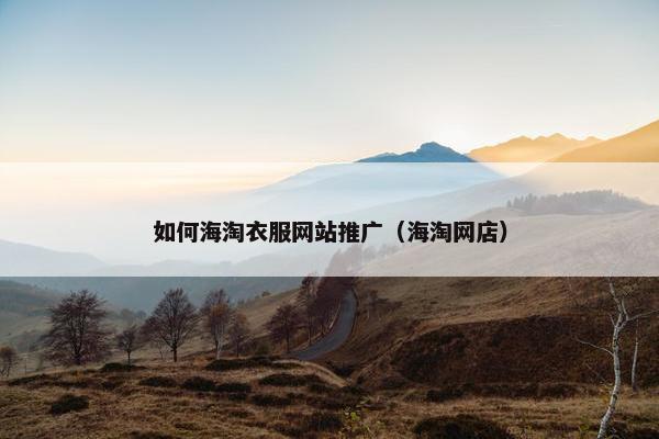 如何海淘衣服网站推广（海淘网店）
