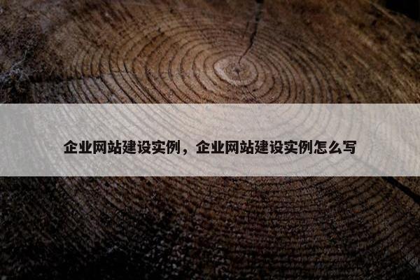 企业网站建设实例，企业网站建设实例怎么写