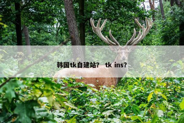 韩国tk自建站？ tk ins？