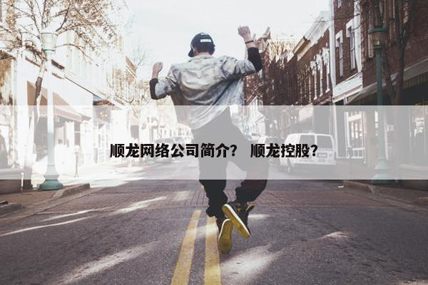 顺龙网络公司简介？ 顺龙控股？