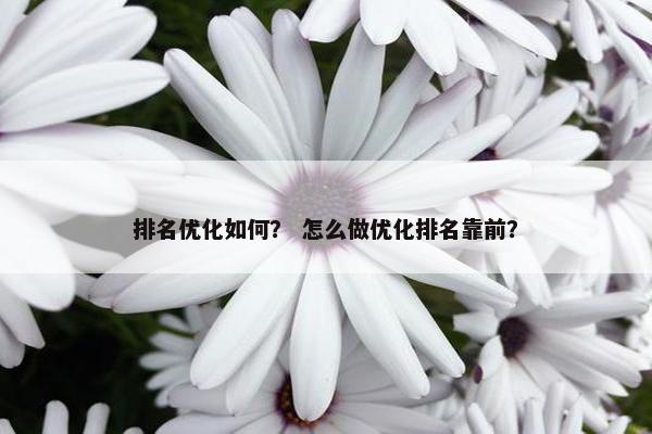 排名优化如何？ 怎么做优化排名靠前？