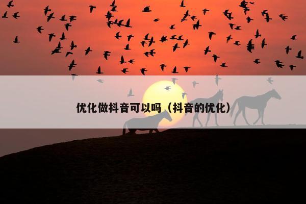 优化做抖音可以吗（抖音的优化）
