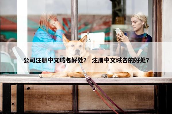 公司注册中文域名好处？ 注册中文域名的好处？