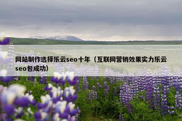 网站制作选择乐云seo十年（互联网营销效果实力乐云seo包成功）
