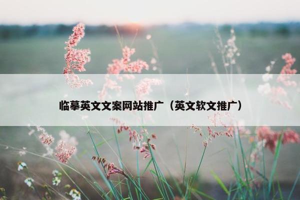 临摹英文文案网站推广（英文软文推广）