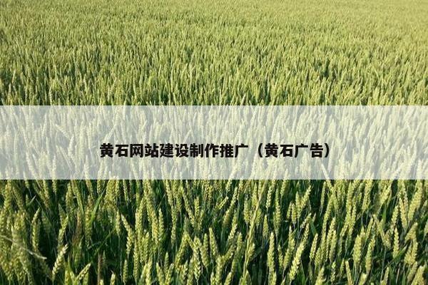 黄石网站建设制作推广（黄石广告）