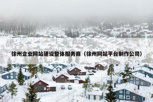 徐州企业网站建设整体服务商（徐州网站平台制作公司）