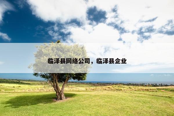 临泽县网络公司，临泽县企业