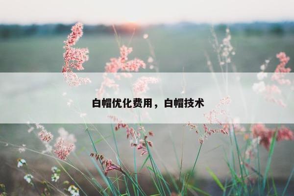 白帽优化费用，白帽技术