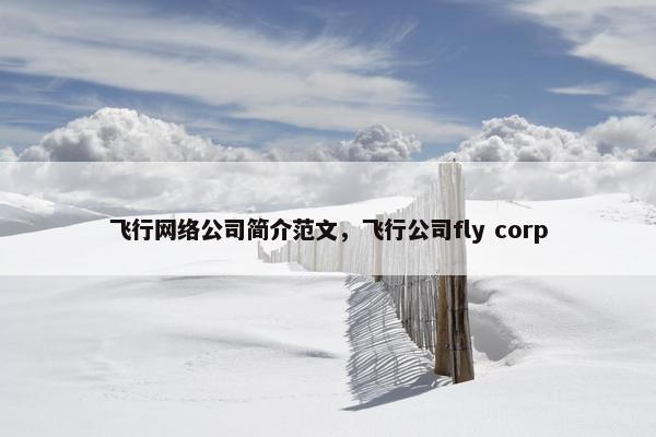 飞行网络公司简介范文，飞行公司fly corp