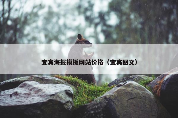 宜宾海报模板网站价格（宜宾图文）