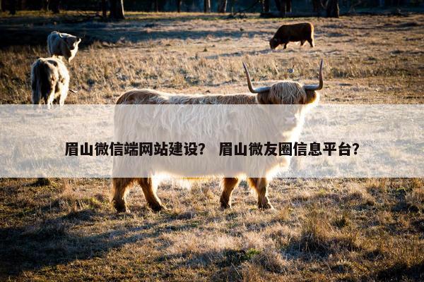 眉山微信端网站建设？ 眉山微友圈信息平台？