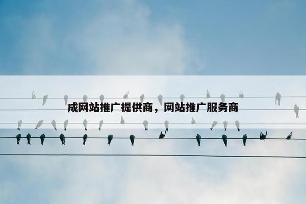 成网站推广提供商，网站推广服务商