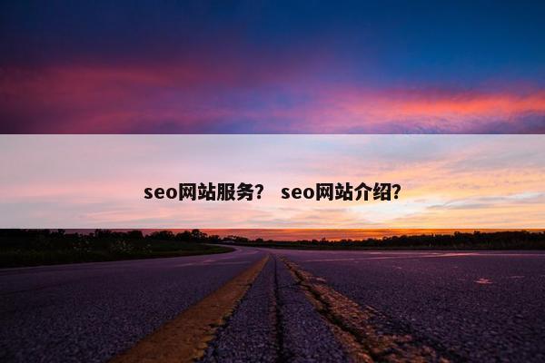 seo网站服务？ seo网站介绍？