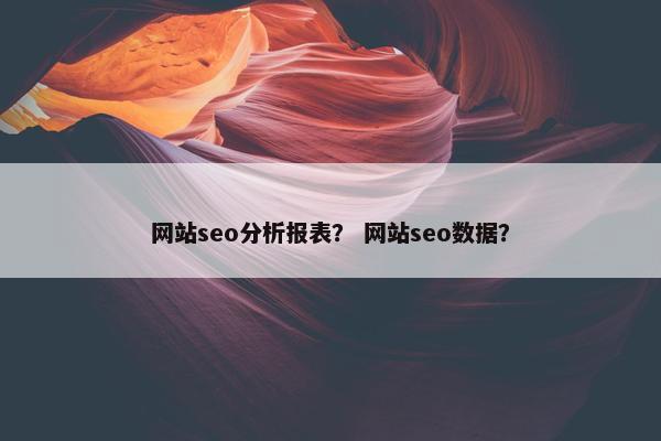 网站seo分析报表？ 网站seo数据？