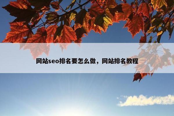 网站seo排名要怎么做，网站排名教程