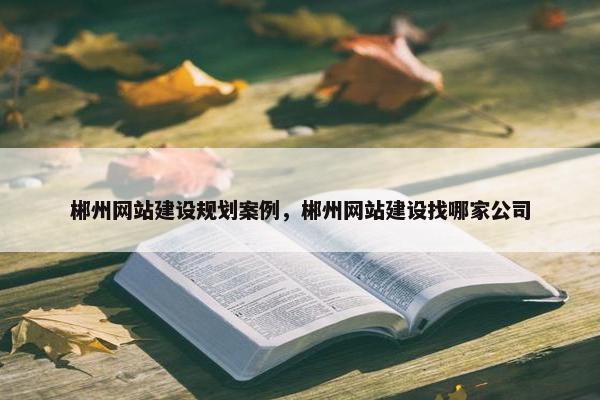 郴州网站建设规划案例，郴州网站建设找哪家公司