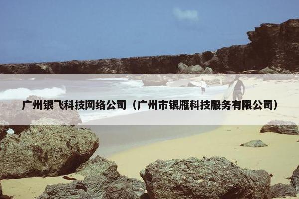广州银飞科技网络公司（广州市银雁科技服务有限公司）